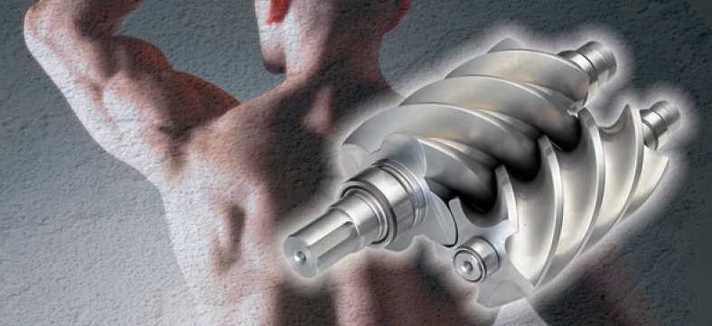 Reparaci&oacute;n y Mantenimiento de Aire Comprimido - Detalle Compresor Aire a Tornillo